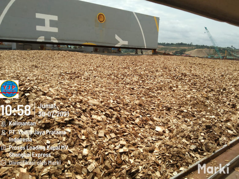 Cargo Ship Fumigation