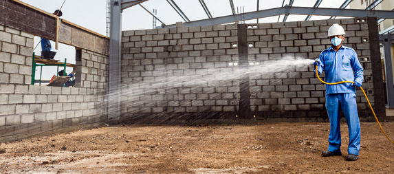 Termite Control Service