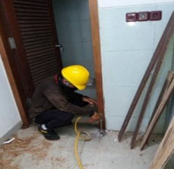 Termite Control Service